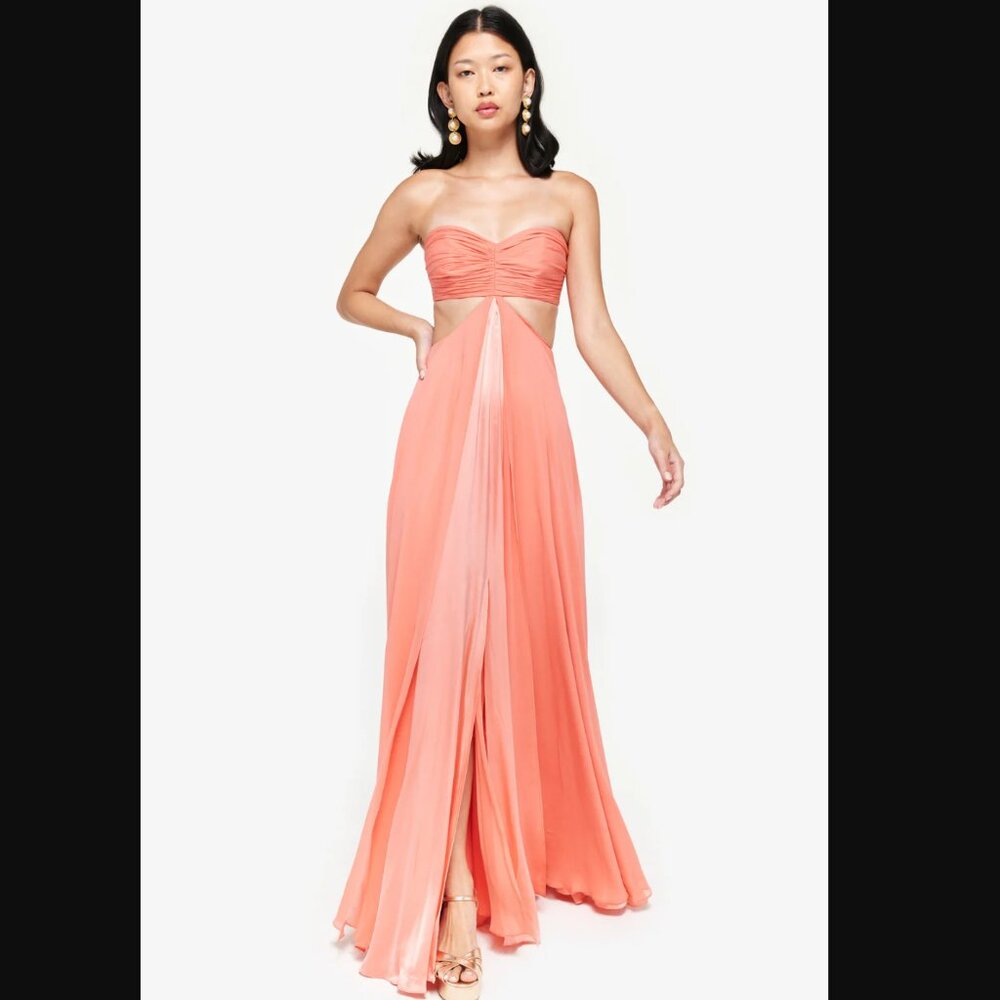 Francesca Miranda Luz Gown in Pink Coral - Size 4 - NWT